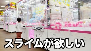 【414人目】スライムが欲しくて欲しくて...諦めた男の子にサプライズでプレゼントしてみた！（クレーンゲーム・ぬいぐるみ）