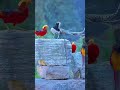 soda soda soniye beautiful birds video shorts 4k_status nature 4k_status viralvideo love song