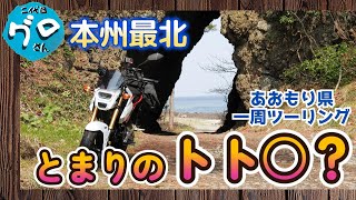 グロム【原付二種】で青森県一周ツーリング１５　弥次郎穴で、とまりのトトロにであった～【バイク125㏄モトブログ】