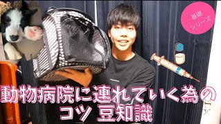 【動物病院に行くために!!コツ、豆知識】持って行った方がいい物、やった方がいいこと軽くご紹介