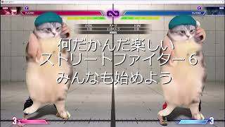 【ストリートファイター６】猫ミーム見てスト6始めよう！