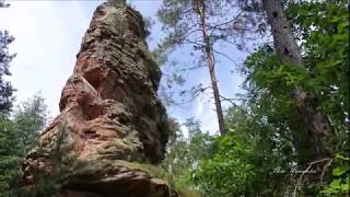 Felsenerlebniswelt Napoleon-Steig