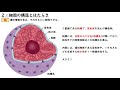 高校生物【第２回 細胞の構造とはたらき】オンラインで高校授業