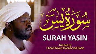 Surah Yaseen سورة يس  II Urdu Translation & Roman Urdu II Shaikh Noren Mohammad Sadiq
