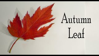 Autumn Leaf Drawing Tutorial
