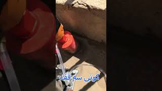 کونی سه قف