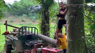 agricultural vehicle carrying wood girl buys tree worth up to 1 thousand dollars