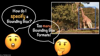 Bounding Box Formats | Essentials of Object Detection