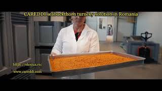 Careddi seabuck thorn oil extraction turnkey solution in Romania