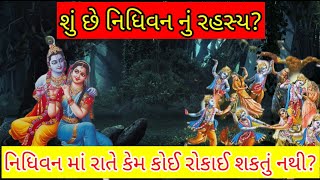 શું છે નિધિવન નું રહસ્ય?//નીધિવન માં રાતે કેમ કોઈ રોકાઈ શકતું નથી?//What is the secret of Nidhivan?