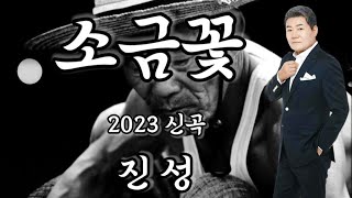 가수 / 진성 ( 소금꽃 ) 2023 신곡 ( 5번 연속듣기 )