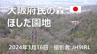 20240316　府民の森ほしだ園地の星のブランコ、ちょっと怖い！