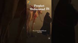 Prophet Muhammad's ﷺ Hardship /Islamic status /Muslimah /Whatsapp Status /Shorts
