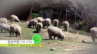 [FTV] 대한민국 구석구석 종합 예고