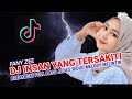 DJ INSAN YANG TERSAKITI FANY ZEE BREAKBEAT REMIX FULL BASS MELODY MELINTIR VIRAL TIKTOK