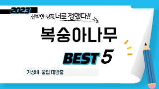 복숭아나무 추천 리뷰 후기 TOP5