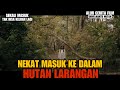 MENYERAMKAN! BERTEMU SOSOK DIWE PENUNGGU HUTAN LARANGAN | REVIEW FILM