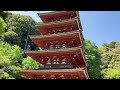 長谷寺の五重塔 （奈良県桜井市、2023 05 01）