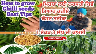 ਮਿਰਚਾਂ ਦੀ ਨਰਸਰੀ ਕਿਵੇਂ ਤਿਆਰ ਕਰੀਏ 🌱🌶️mirch ki nursery kaise taiyar kare | mirch ki nursery kaise dal