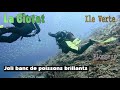 20240523 La ciotat Ile Verte Seynerole Banc de poissons