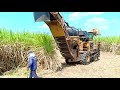 รถตัดอ้อยสด sugar cane harvester by พูนทรัพย์พืชผล