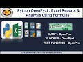 Python Excel Automation & Analysis: Creating Reports & Analyzing Data Using Formulas with Openpyxl-4