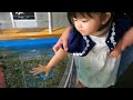 【ゆずちゃん】水族館に行ってきました【なかがわ水遊園】