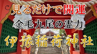 【08 伊豫稲荷神社 参拝】※この動画にたどり着いたあなた※運気上昇の兆しです！ 「金毛九尾の狐の尾」を祀る格式高い神社の不思議なパワー Iyo Inari Shrine  Japan