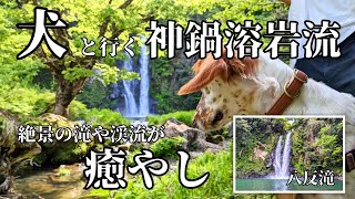 56.春の【神鍋溶岩流】豊岡市 大迫力の滝や美しい渓流、自然が創り出した絶景をわんこと散策。清流音と素晴らしい景観に癒される(真夏✕)