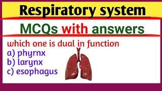 Top 30 respiratory system mcqs with answers | respiratory system mcq | quiz respiratory system mcq