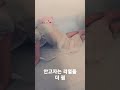 국내 리얼돌 성인돌 안고자는 성인돌인형