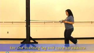 BruinStrength - Tube Exercises - KIT - Single Leg Sagittal Row, UCLA