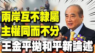 【全程字幕】兩岸互不隸屬主權同而不分! 王金平\