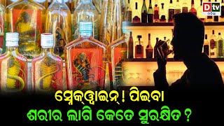 ସ୍ନେକ ୱାଇନ ! ପିଇବା ଶରୀର ଲାଗି କେତେ ସୁରକ୍ଷିତ ? | breaking news | dtv news | dtv odia