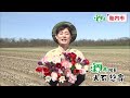 胎内市🔎探県プロジェクト【15秒メッセージcm】