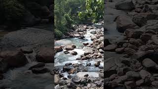 Jaldhaka River #travelblogger #northbengal #dooarstrip