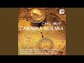 Carmina Burana: No. 19, Si puer cum puellula