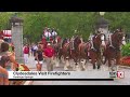 Iconic Budweiser Clydesdales visit Saratoga Springs firefighters