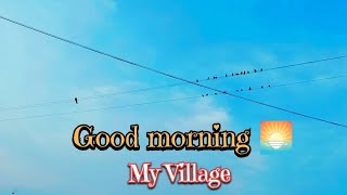 27 August 2023 Good morning my dear friends || My Village is beautiful | #minivlog #youtubevideo #op