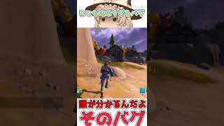 【フォートナイト】過去1見にくいバグ×２（）【ゆっくり実況】【ショート動画】