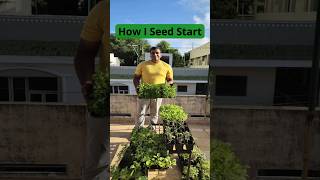 Seed Starting tips     #growyourownfood #terracegarden.                    #seeds