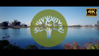 🇺🇸  Oakland, CA - Lake Merritt - 4K ASMR Walking Tour