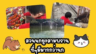 น้องเพียว | เที่ยว รีวิว (สวนนกยูงสามพราน) ให้อาหารฮาๆและความรู้นิดนึง พากย์โดยแมวน้ำ