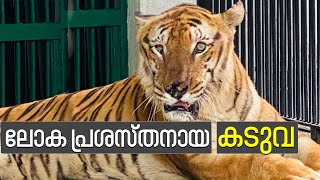 Story of Tiger George | ലോക പ്രശസ്തനായ കടുവ | Claire Le Michel | Zee Malayalam News