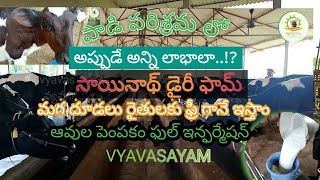 Sainath #Dairyfarm 🐄🌾l అప్పుడే అన్ని లాభాలుlవ్యవసాయ రైతులకు మొగ దూడలు ఫ్రీl#cowsmakemehappy