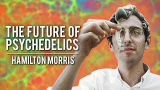 Hamilton Morris - Creating The Future Of Psychedelics | Modern Wisdom Podcast 284