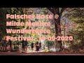 Falscher Hase at Milde Möhre Wundertüte Festival - 19-09-2020 [DJ Set | Deep House]