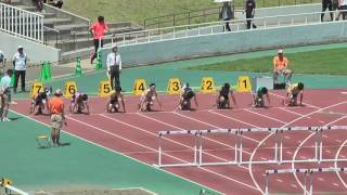 H29　千葉県高校総体　男子110mH　準決勝3組