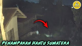 PENAMPAKAN HANTU SUMATERA | VCS 93