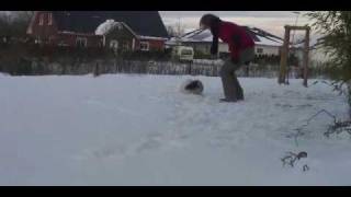 Kiwi.wmv